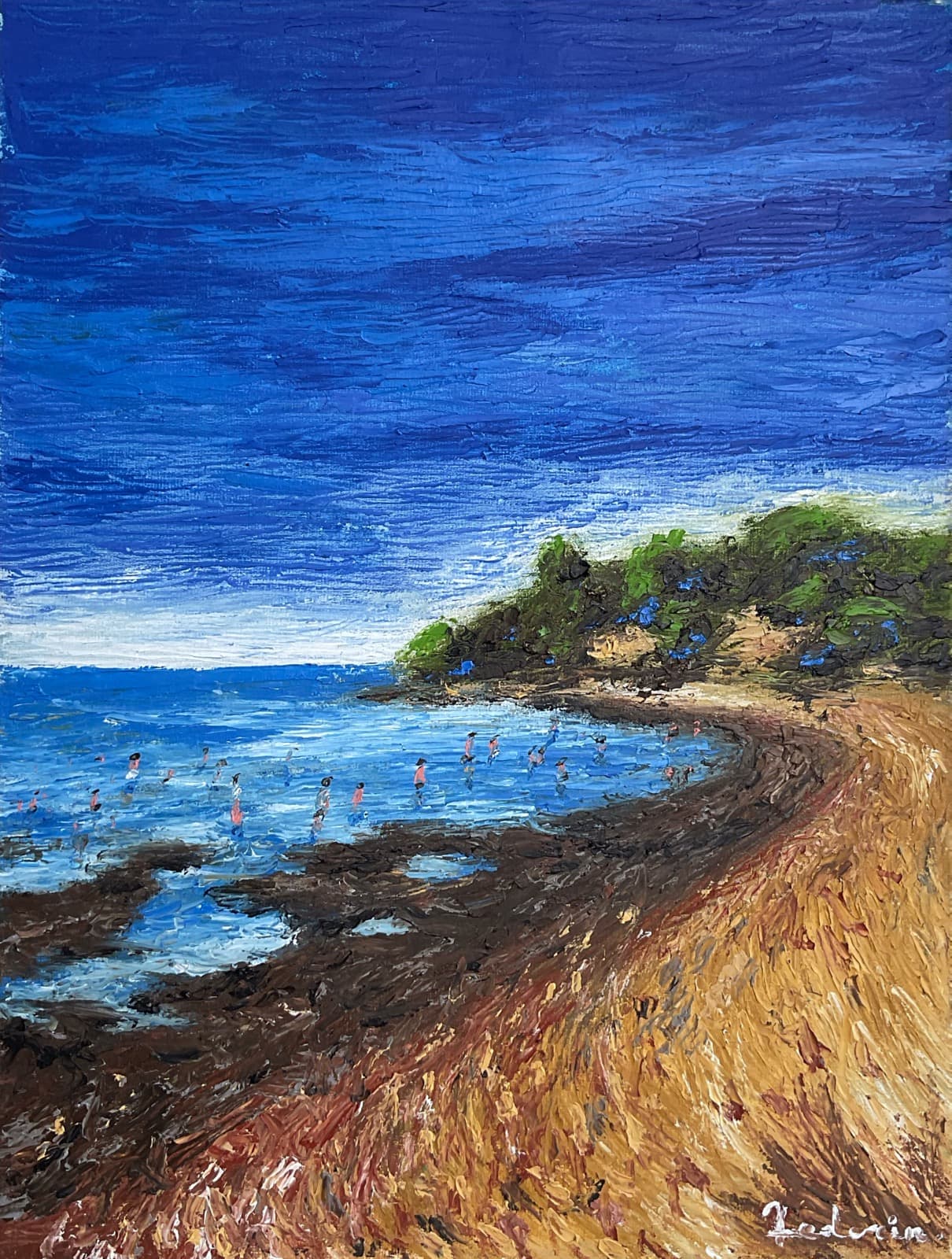 Praia da Reserva Ecológica de Buenos Aires