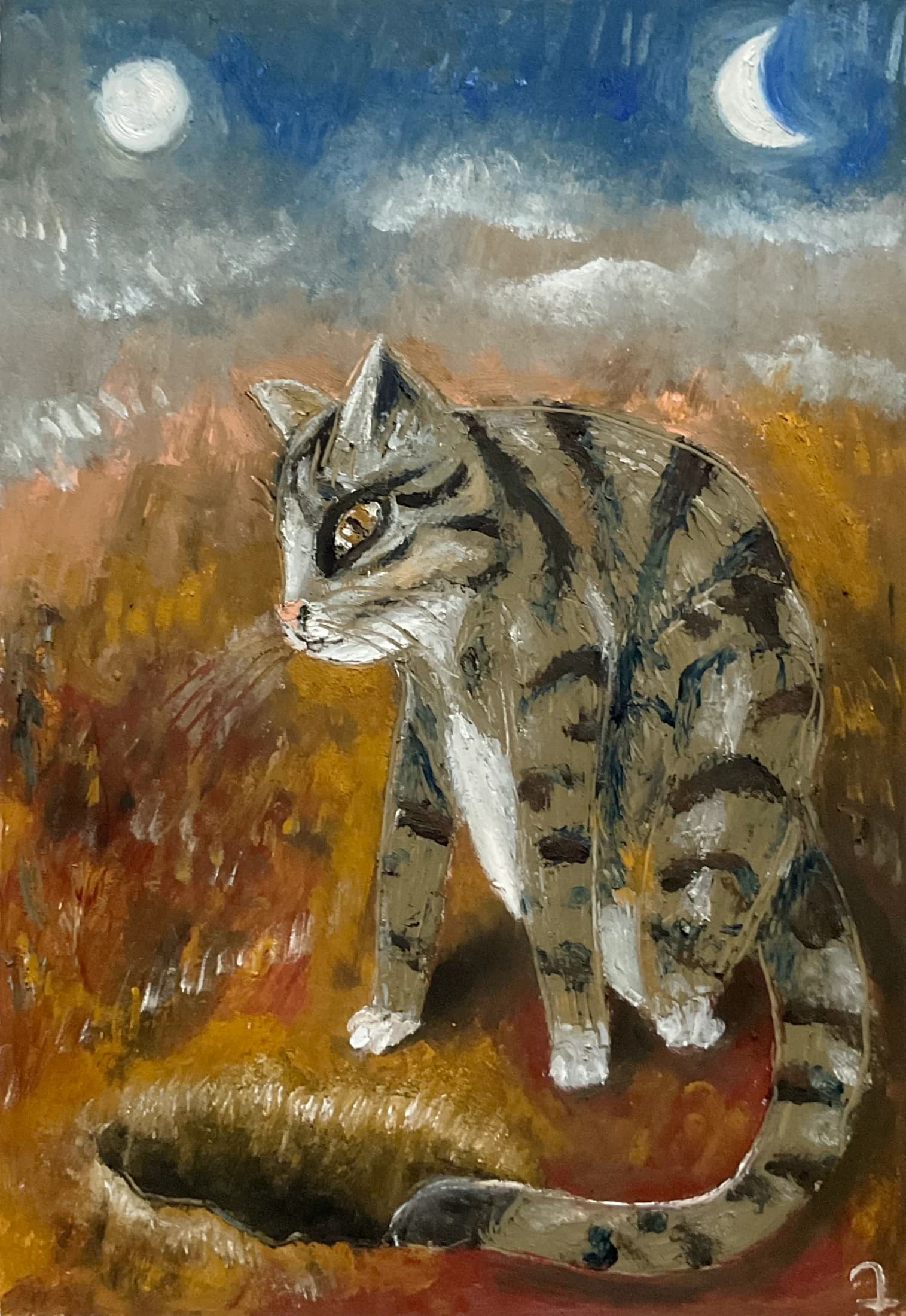 Cats